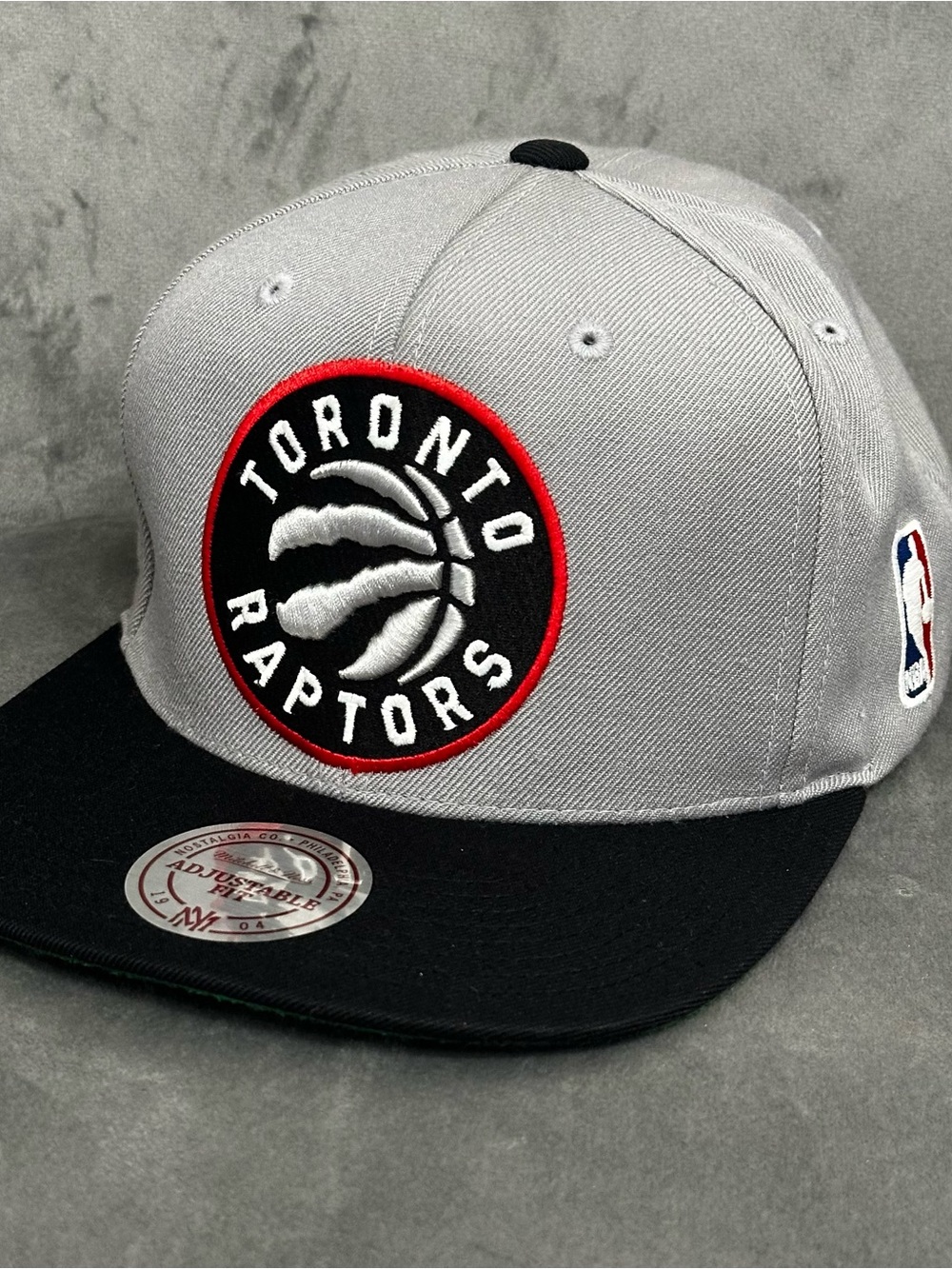 Toronto raptors Mitchell & Ness Gray and Black Interior Label Cap